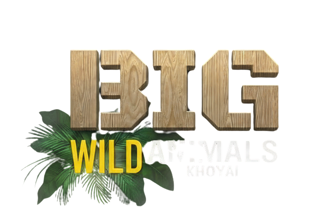 biganimals.proweb.club