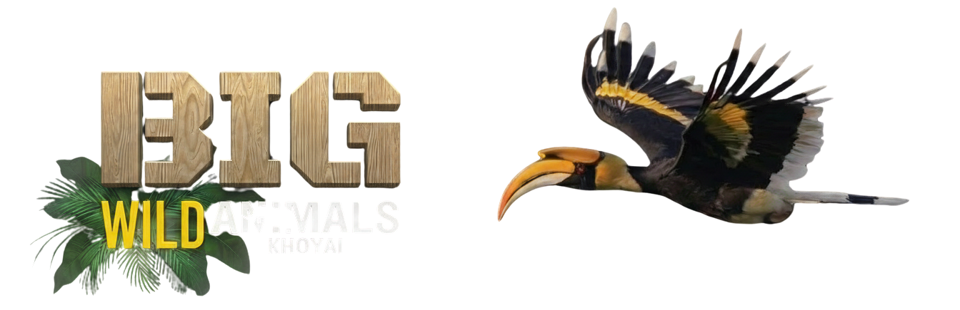 biganimals.proweb.club